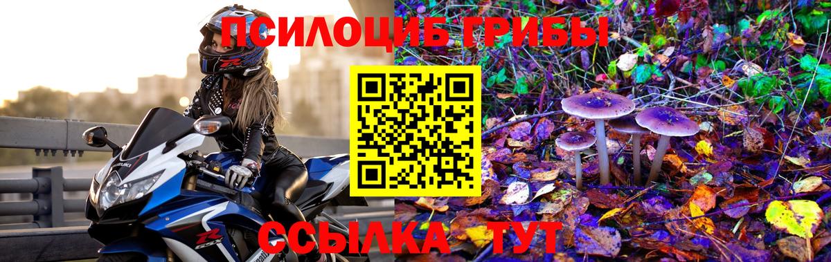 Меф МЯУ МЯУ   Мефедрон  LSD-25  COCAIN  МДМА  Вход с VPN  Похвистнево  Конопля  Как найти закладки?  Экстази  ГАШ 